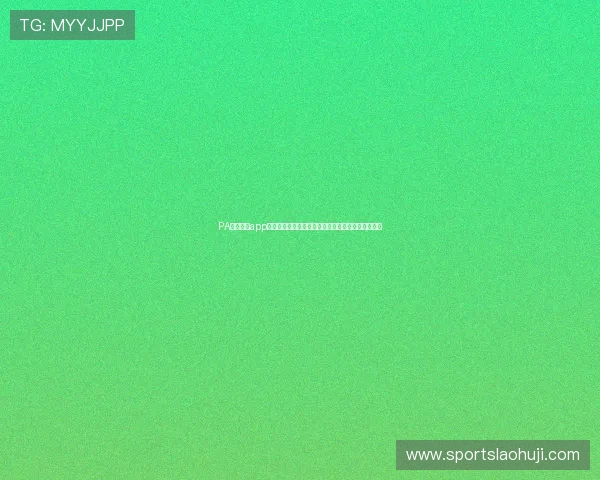 PA游戏官网app安全性分析与隐私保护措施，保障玩家个人信息安全